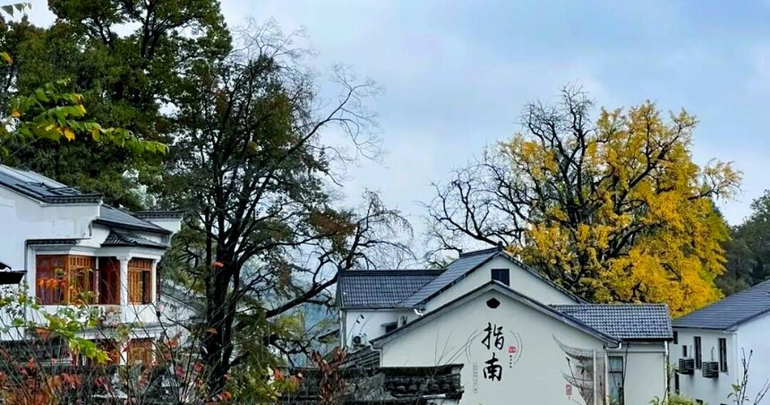 1761287807556756.jpg token=61207dd2e42819ef446d742e3ba7938d.jpg