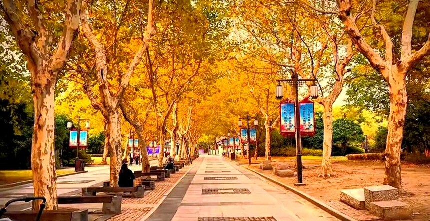 1761287833132451.jpg token=2ae4b8935e6274f7ebc8d110d7984d89.jpg