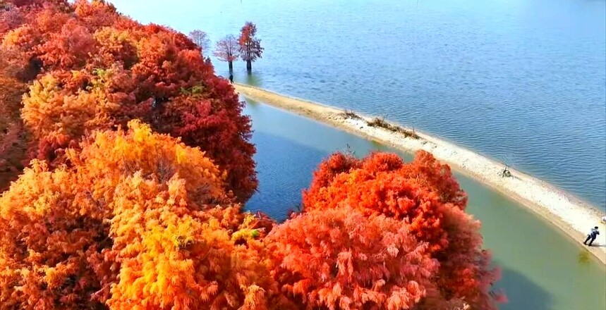 1761287881629058.jpg token=4fab894f1806d5157571d6de9209ce88.jpg