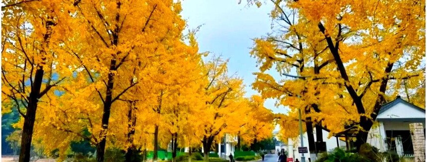 1761287911272384.jpg token=2dba93898f43880b167e6344b0bed39a.jpg