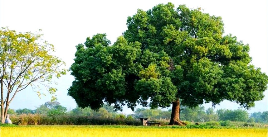 1761287952948855.jpg token=c10772739da0d02374d28360ea98cd21.jpg