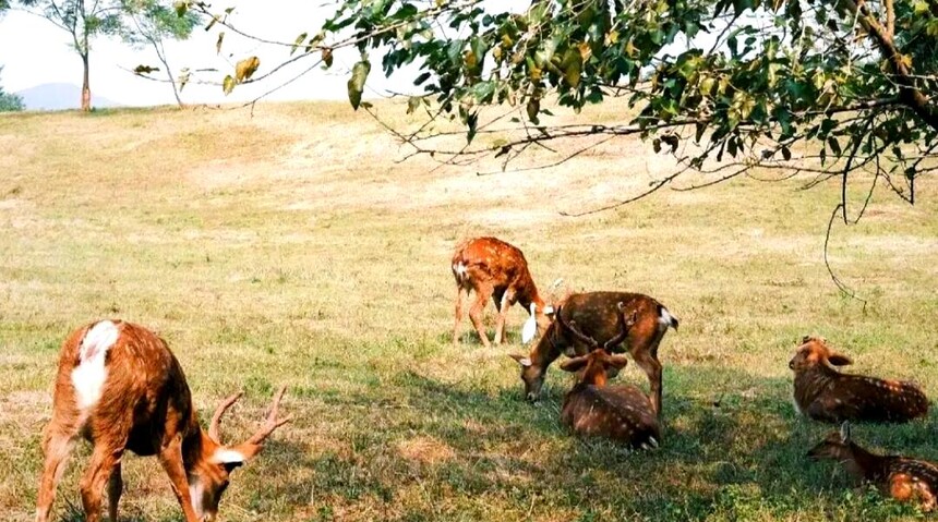 1761287976243302.jpg token=a7936afbc8f89edf550af60c40beb92d.jpg