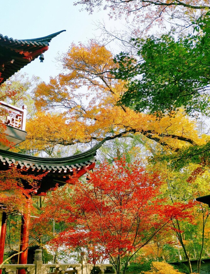 1761893986571128.jpg token=63314a795832be06d8a6b7c77e80f53e.jpg