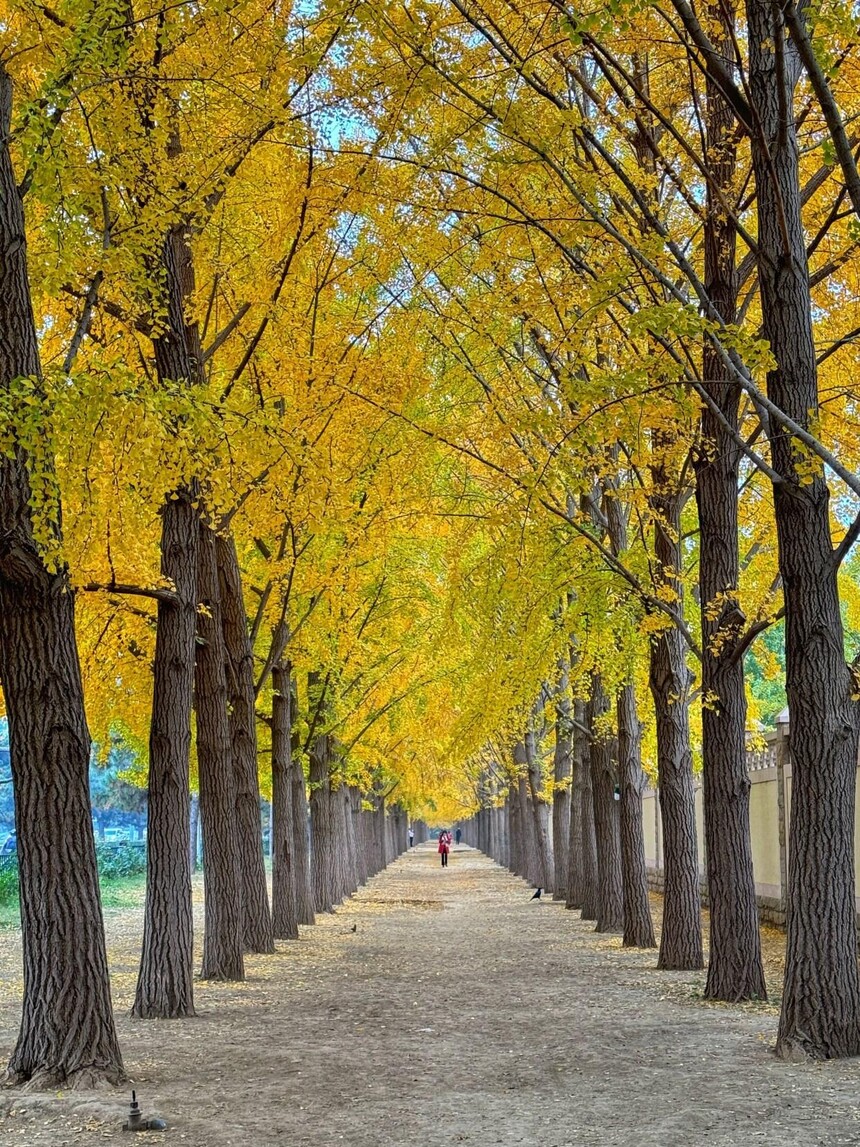 1761894038250448.jpg token=b5d5a4909fad08ffc06d11443f362bae.jpg