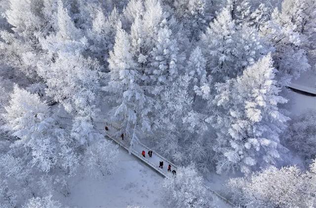 1763707691969167.jpg token=dc078bec18957dd25d15c877af13ef4e.jpg