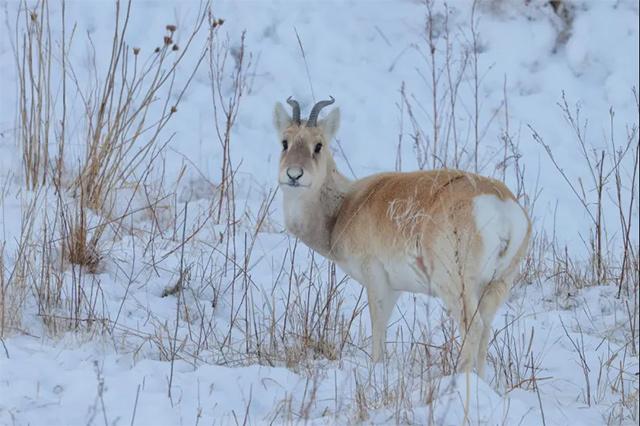 1763707711860011.jpg token=ef82b9a7c9a23abbe6f4730b01c32394.jpg