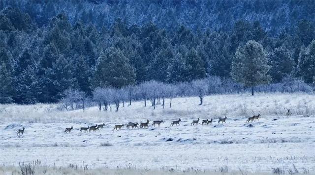 1763708397174518.jpg token=13c7602199b09a875fd6780006f3e98c.jpg