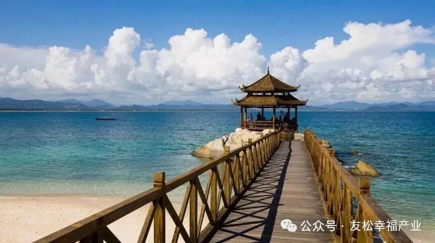 1767860661615545.jpg 640 (11).jpg