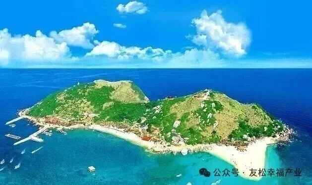 1767860674256235.jpg 640 (12).jpg