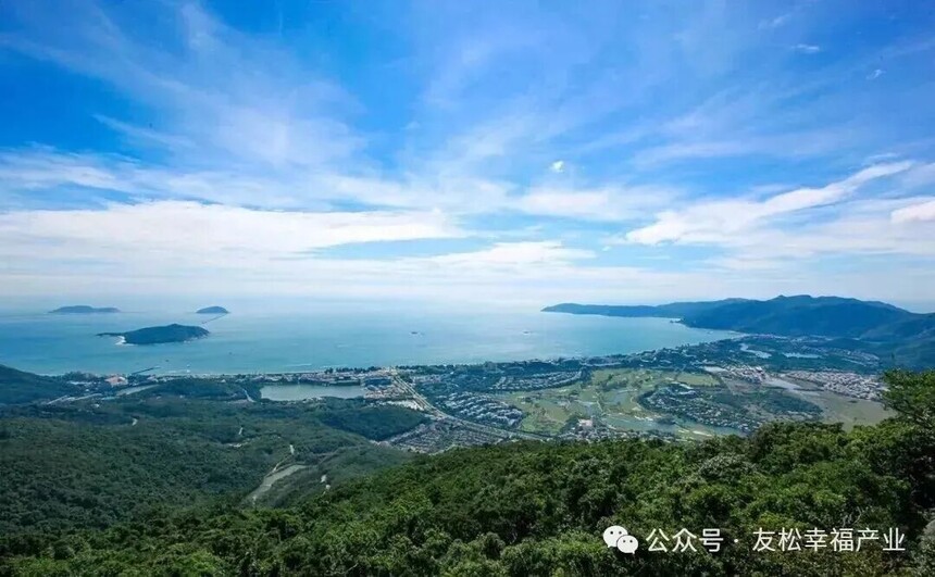 1767860687743546.jpg 640 (13).jpg