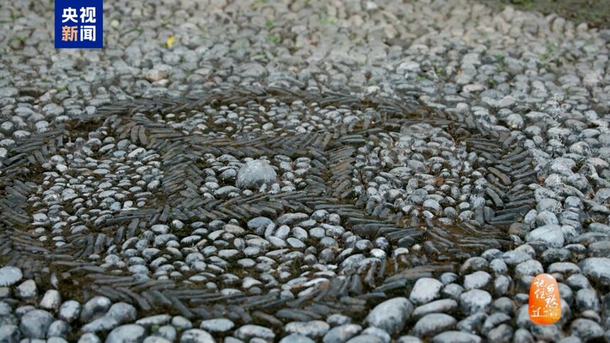 1769754126888417.jpg 00307700582_6a0d2342.jpg