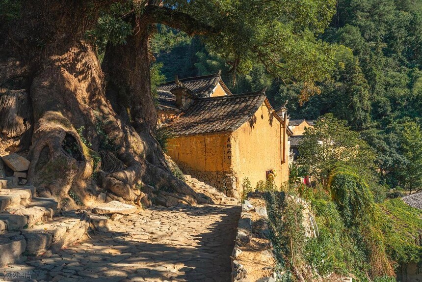 1769756675633812.jpg token=4794afccf3dfccc0c991957231905437.jpg