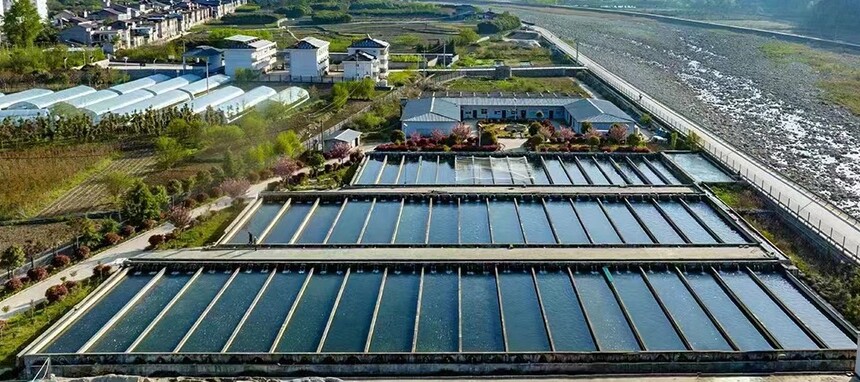 1770275585781354.jpg 微信圖片_20260205145037_304_262.jpg