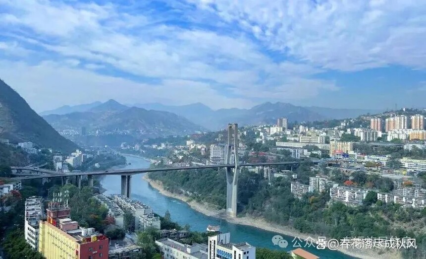 1770696868766697.jpg 1747964722505373.jpg