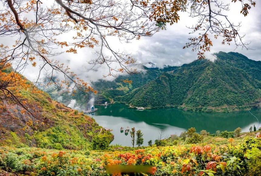 1770697010537446.jpg 1747964908513051.jpg