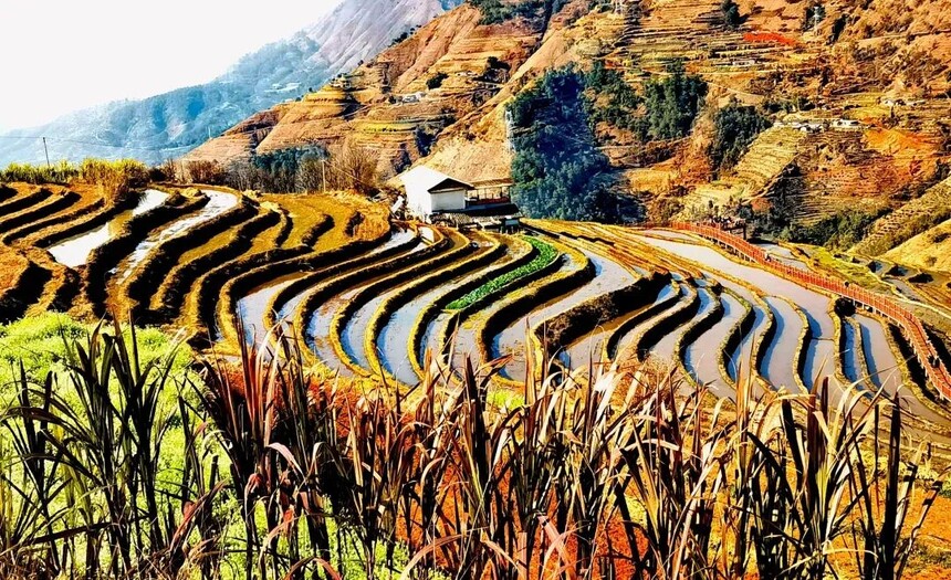 1770697026767222.jpg 1747964941258528.jpg