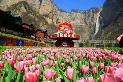 1772261206241708.jpg token=3ed07a87516025132238653e6bc9e86a.jpg