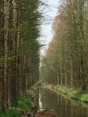 1772261247923961.jpg token=629e2ad3048e44bb05296bed433689c2.jpg