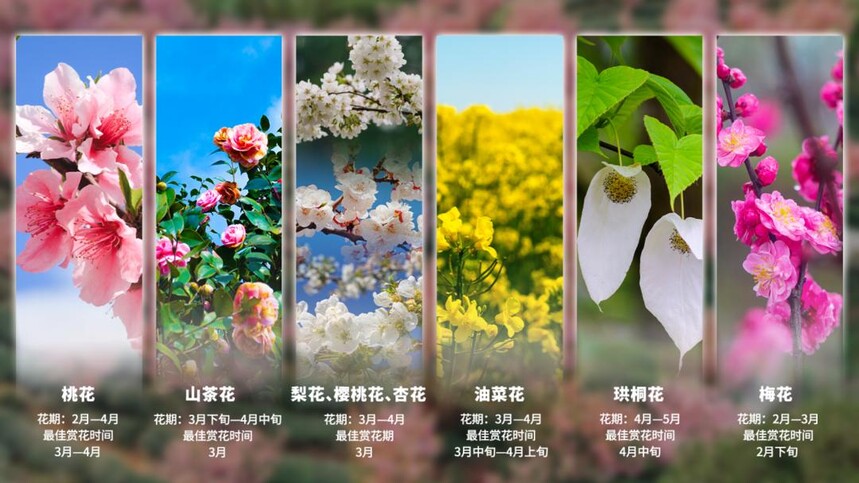 1774593168367830.jpg token=5634c3bb796e62a01fb33a57a5d279da.jpg