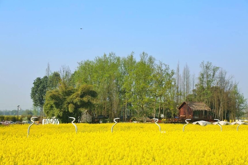 1774593184488265.jpg token=284558dcbac46585ec25b148edbe8066.jpg