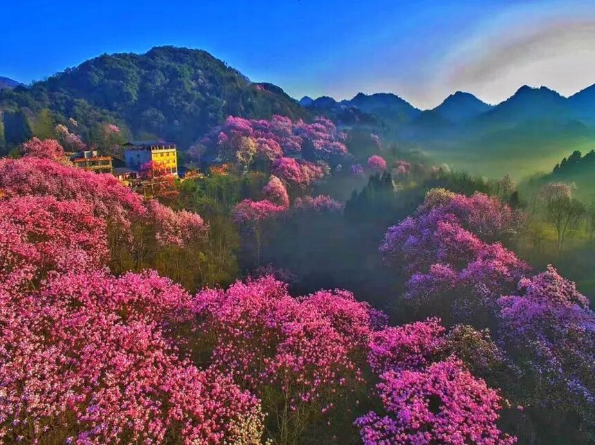 1774593199141741.jpg token=68029b3bb9f4285b8ece9665da066294.jpg