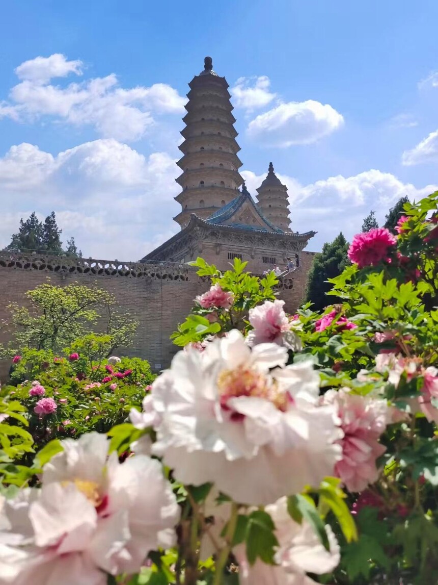 1775806554720388.jpg token=9f51af79f415c4c4a976458d0e62d3c1.jpg