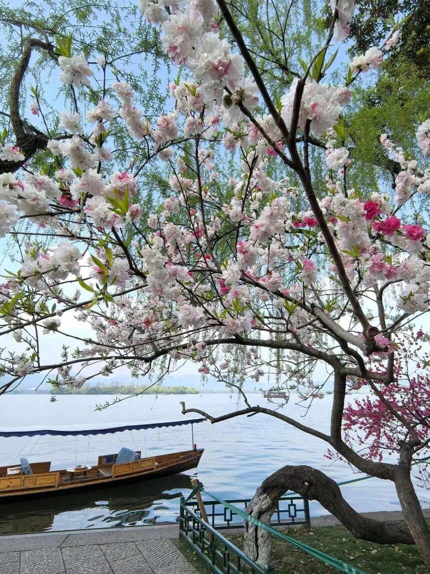 1775806583744830.jpg token=668066f12fc073b2e70e0d602f727791.jpg