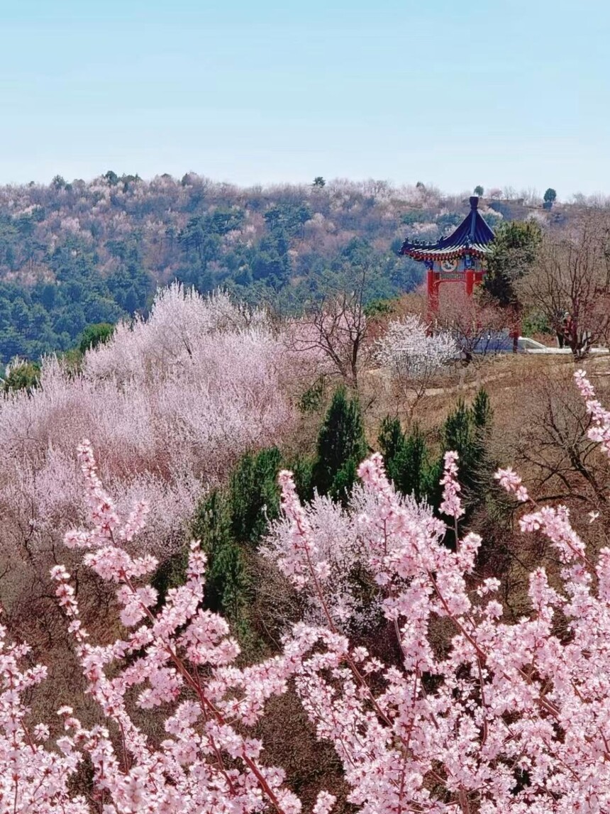 1775806785203279.jpg token=077c2221c449aed0d5587472e2735c16.jpg