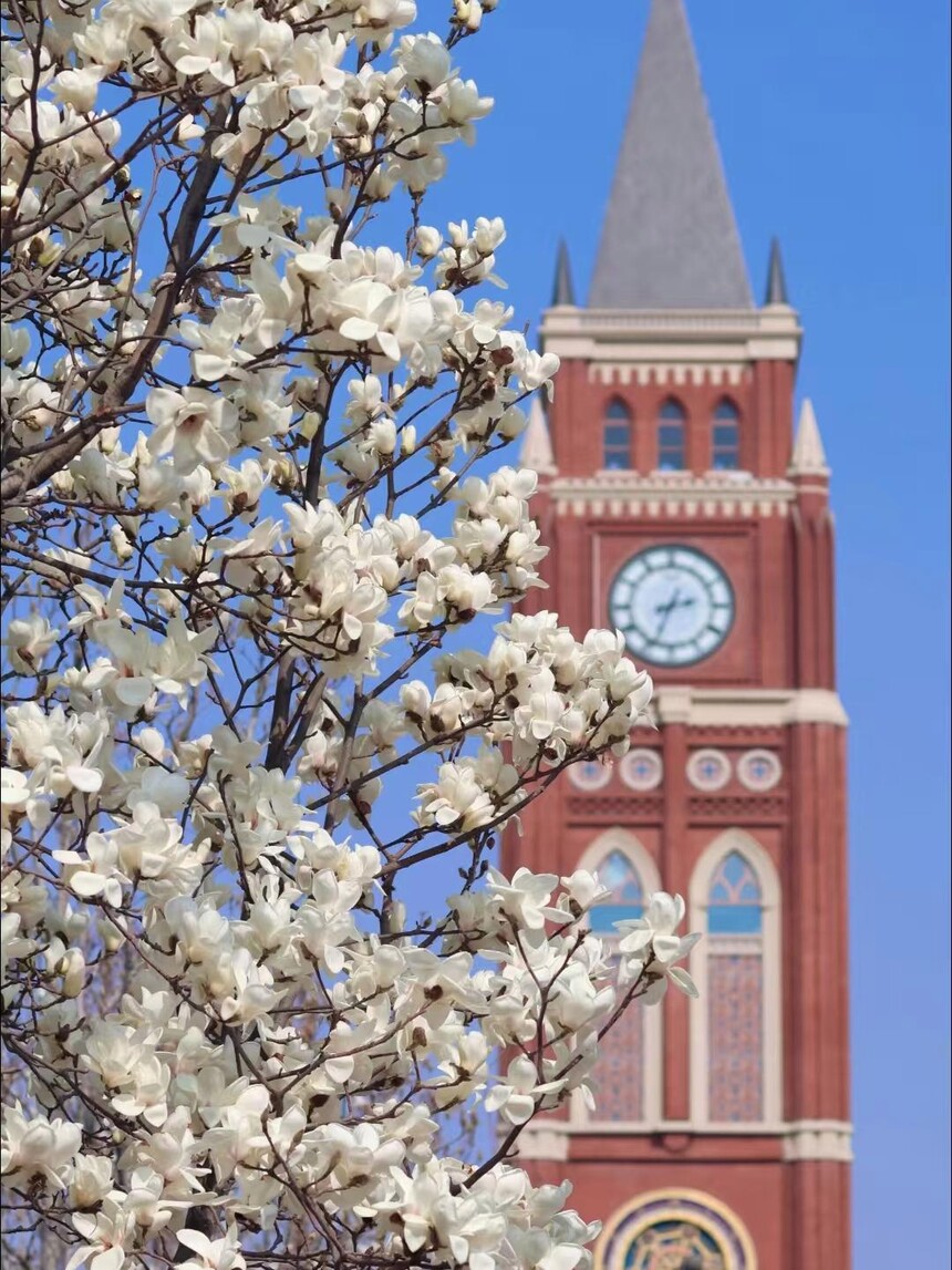 1775806807261287.jpg token=6686b2161fced0d5445b9f5953a445d1.jpg