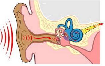 1612161927829667.jpg 职业性爆震聋2.jpg