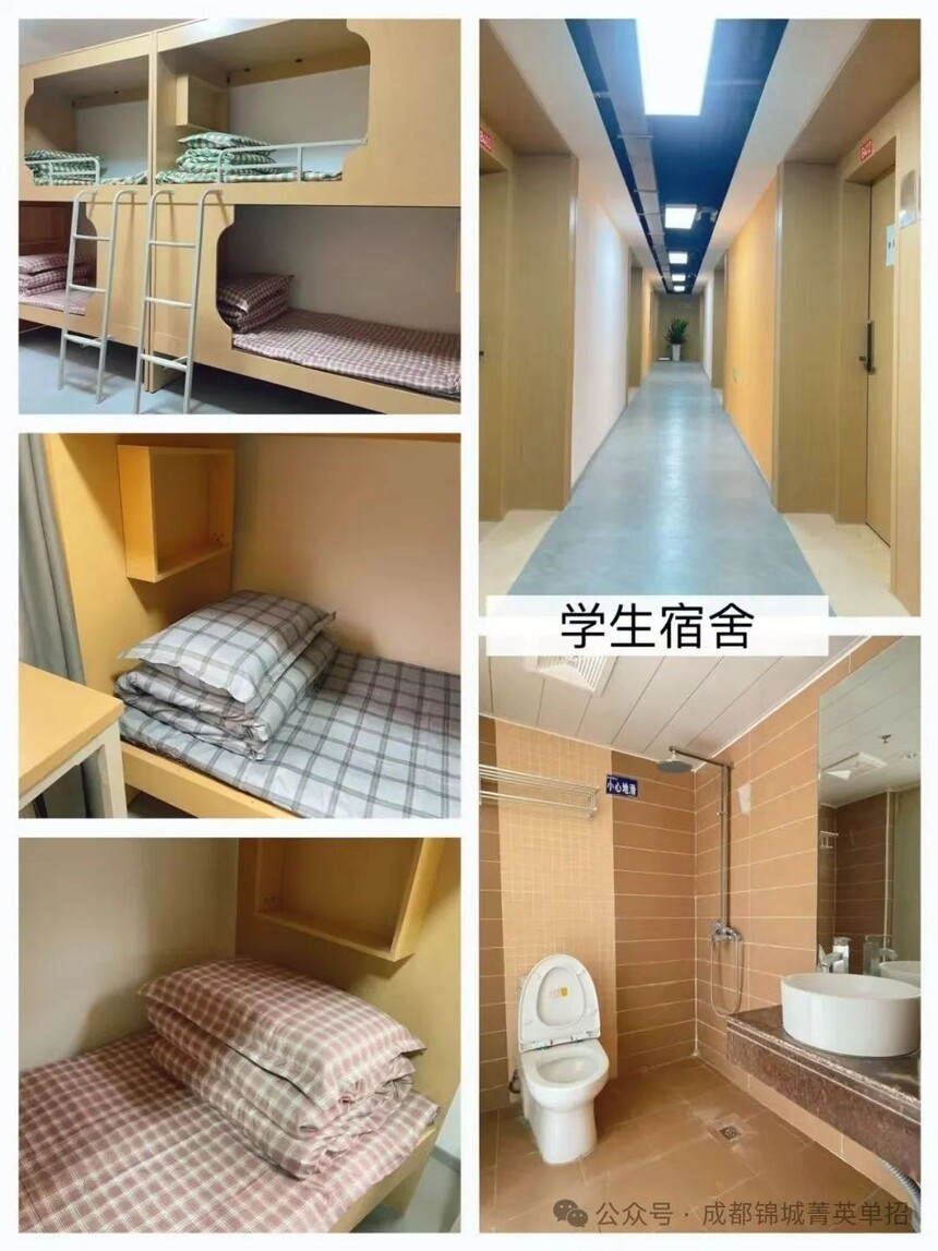 成都单招培训学校 成都单招培训学校