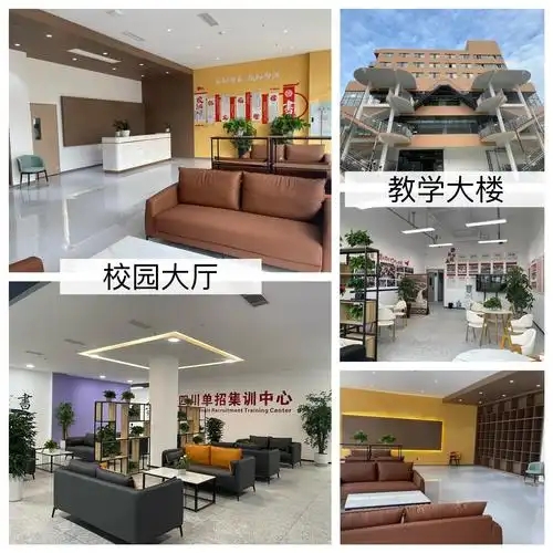 成都单招培训 成都单招培训