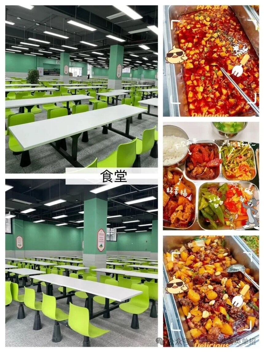 成都单招培训 成都单招培训