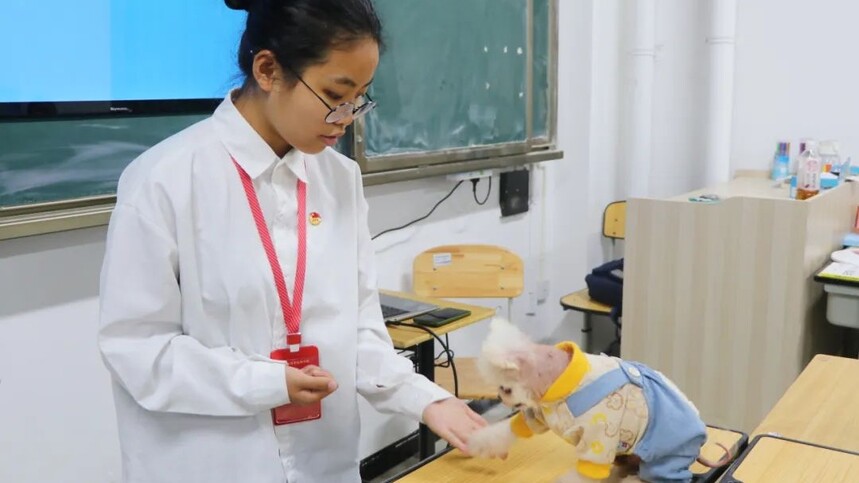 ������ҽרҵ