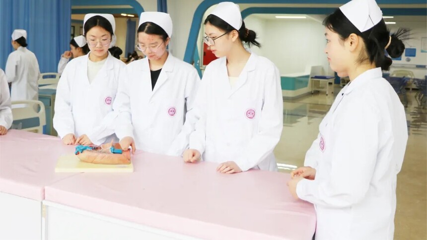 2026��ɶ�ۯ������ѧУ������������רҵ��ϸ����