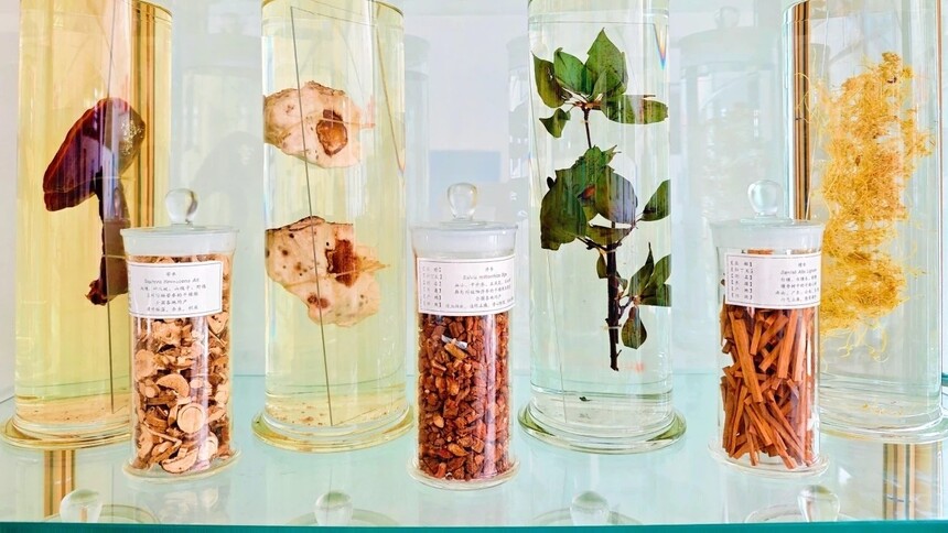 Ϊʲô2026��ѡ�Ĵ����»���ҩѧרҵ