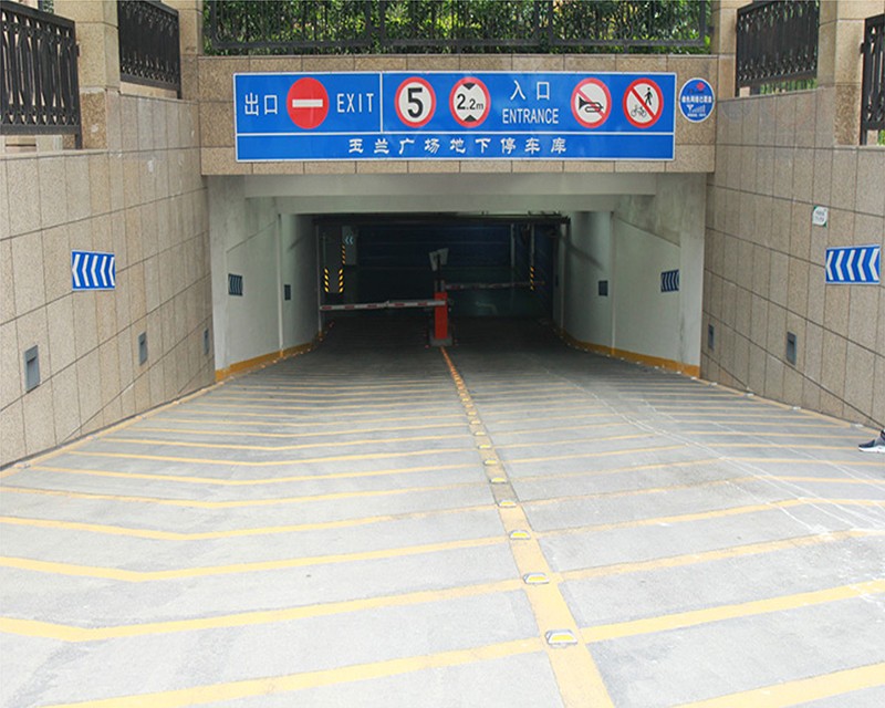 ʶ