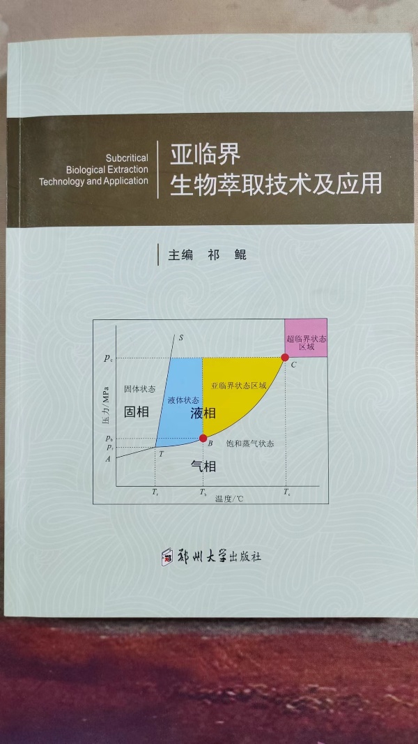 1757753441714409.jpg 亚临界书_副本.jpg