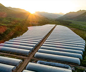 无线温湿度传感器在温室大棚环境控制中的应用