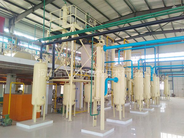 1764834463744753.jpg 20200828155547_1696.jpg