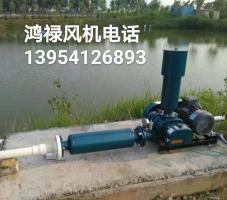 魚(yú)塘蝦蟹增氧機(jī) 水產(chǎn)增氧泵