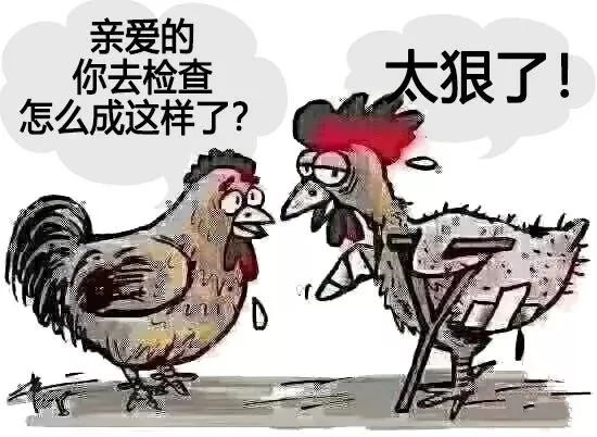 1648892421292967.jpg 雄鸡.jpg