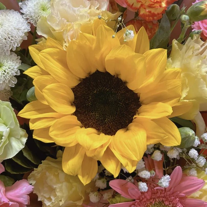 1679296734433864.jpg 1679296734433864.jpg