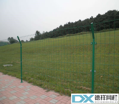 d46a1f9f2a9ec0c6636f145905898fdc@400X350_.jpg