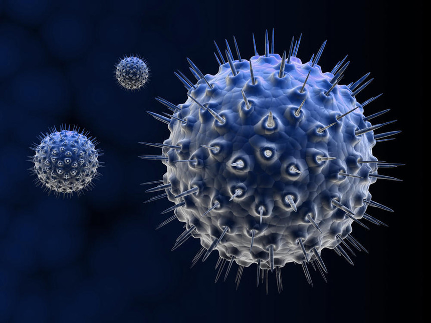 1614137709877056.jpg 拍信素材-2767042-staff_1024.jpg