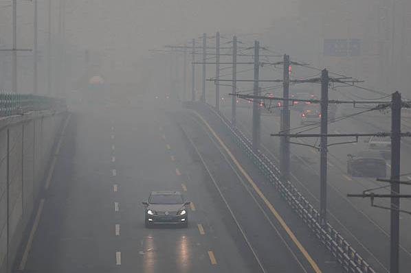 PM251.jpg