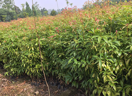 1723946620654738.jpg 2345_image_file_copy_10.jpg