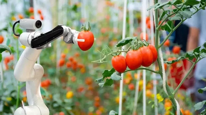 农业智能装备工程技术研究中心研发的草莓采摘机器人针对高架栽培模式