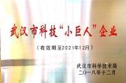 小巨人