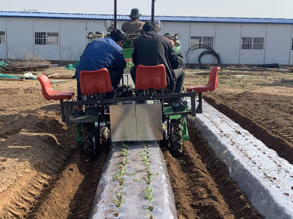 甘蓝,西蓝花移栽机-山东火绒农业科技发展有限公司